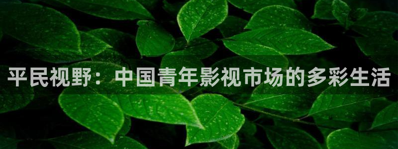 飘花伦理影视：平民视野：中国青年影视市场的多彩生活