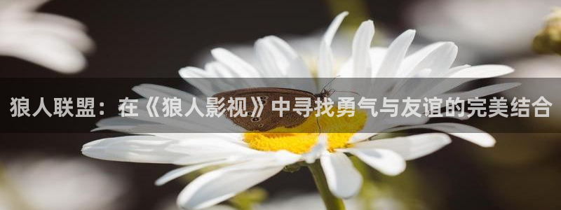 飘花影院理：狼人联盟：在《狼人影视》中寻找勇气与友谊的完美结合