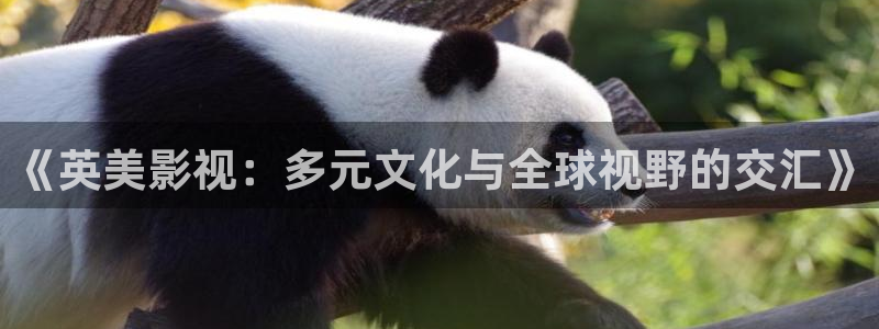 飘花电影飘雪电影在线观看：《英美影视：多元文化与全球视野的交汇》