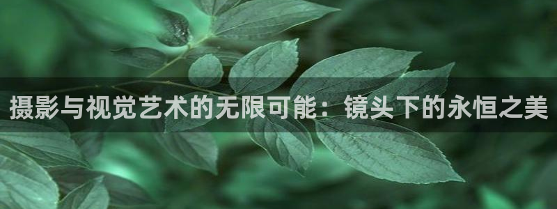 飘花影院手机版最新版本更新内容：摄影与视觉艺术的无限可能：镜头下的永恒之美