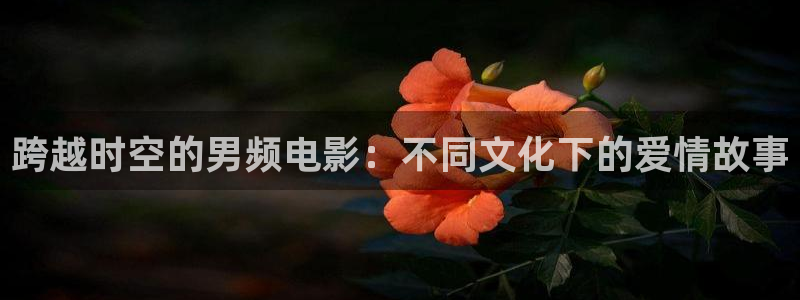 飘花影视在线观看电影：跨越时空的男频电影：不同文化下的爱情故事