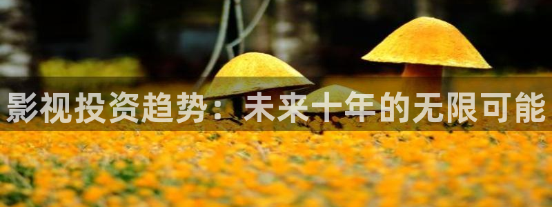 飘花影视网：影视投资趋势：未来十年的无限可能